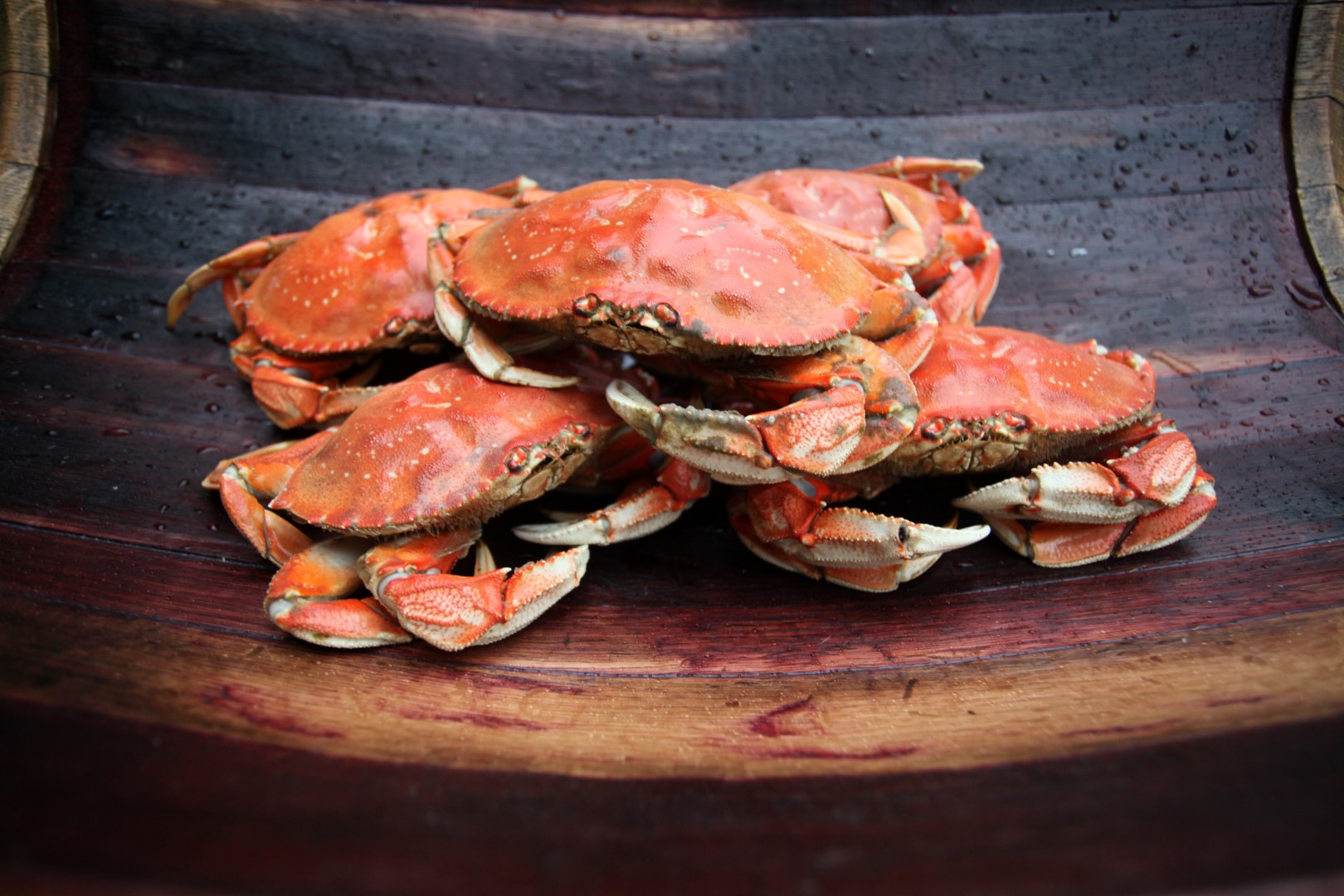 Experience the Catch in Astoria & Warrenton